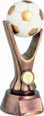 Fussball Troph�e